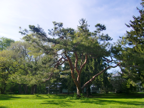 c0219820_23452518.jpg