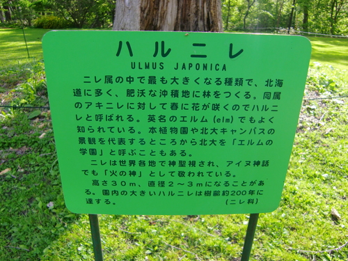 c0219820_23461818.jpg