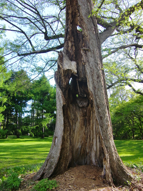c0219820_234682.jpg