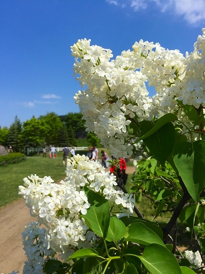 a0338323_23014514.jpg