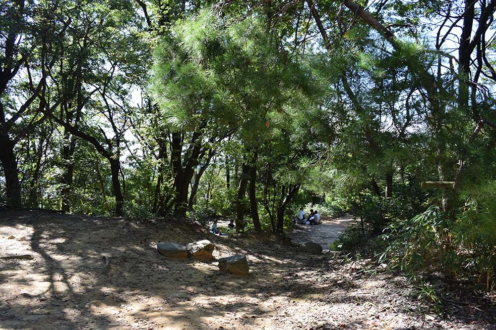 e0158128_21134561.jpg