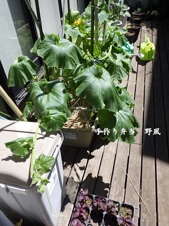 b0244034_10411974.jpg
