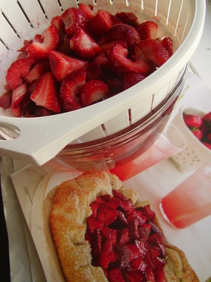 Strawberry-Rhubarb Galette_a0086346_1032195.jpg