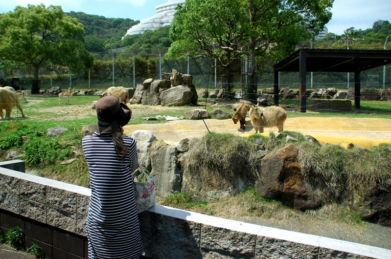 　　アドベンチャーワールド_b0093754_05727.jpg