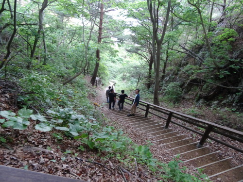 b0339060_07243272.jpg