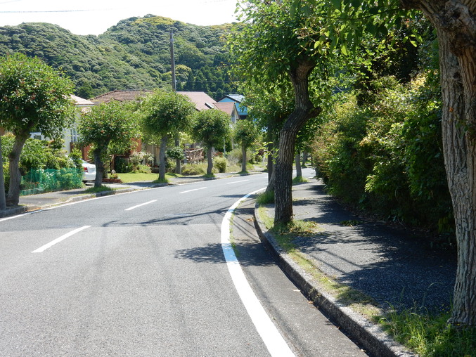 ’16,6,2(木)紫陽花を探しながら~!_f0060461_11423074.jpg