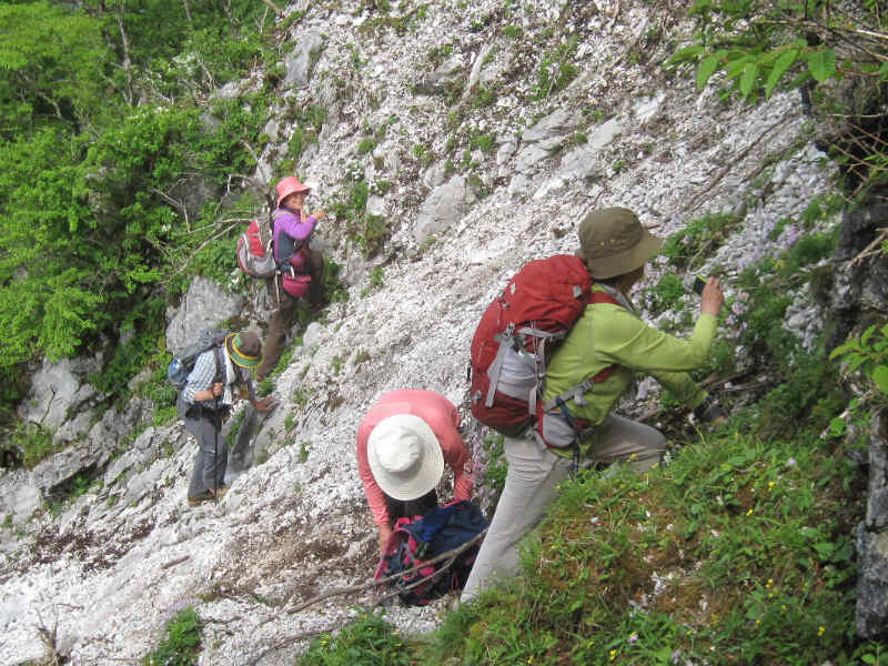 2016.6.1　竜頭山1264ｍ～石立山1708ｍ_c0219866_11362910.jpg