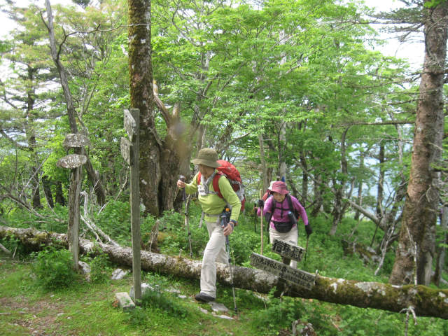 2016.6.1　竜頭山1264ｍ～石立山1708ｍ_c0219866_1140526.jpg