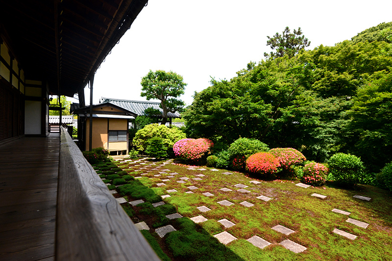 東福寺　本坊庭園_c0317868_18450684.jpg