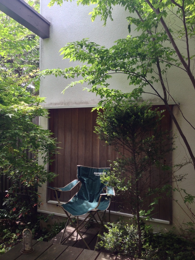 初夏の庭2016_c0310571_21340725.jpg