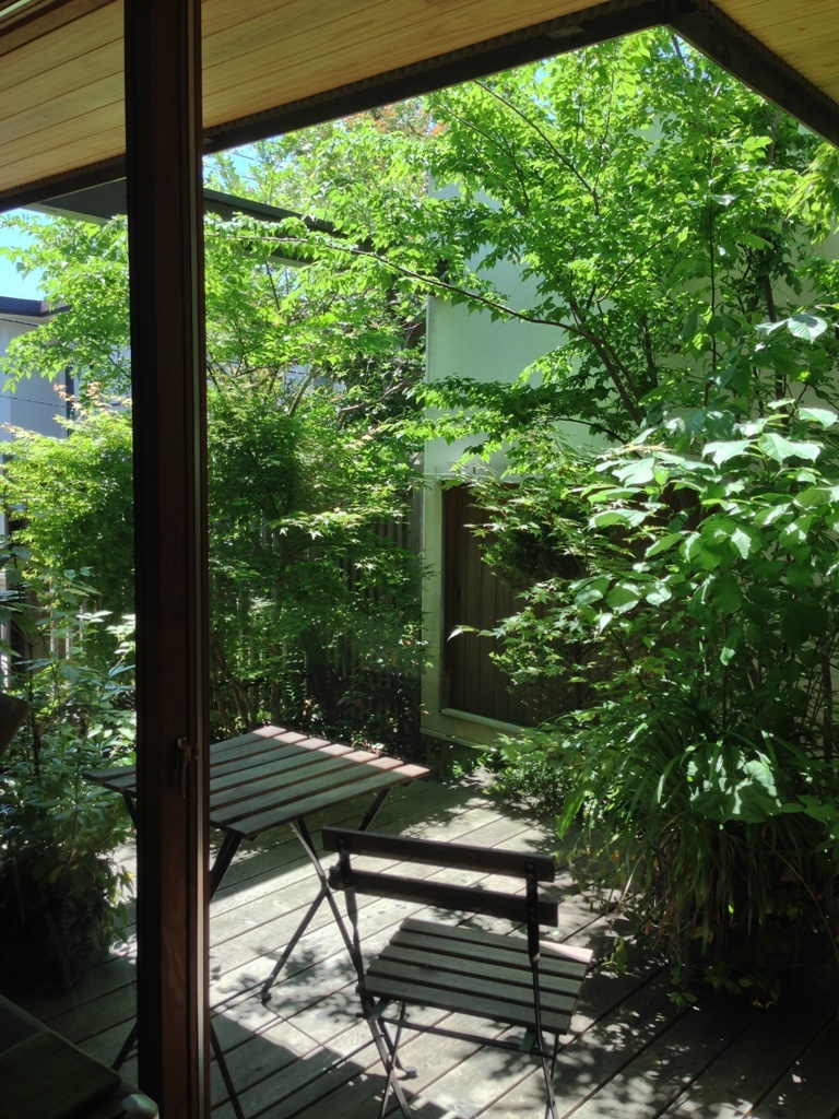 初夏の庭2016_c0310571_21342208.jpg