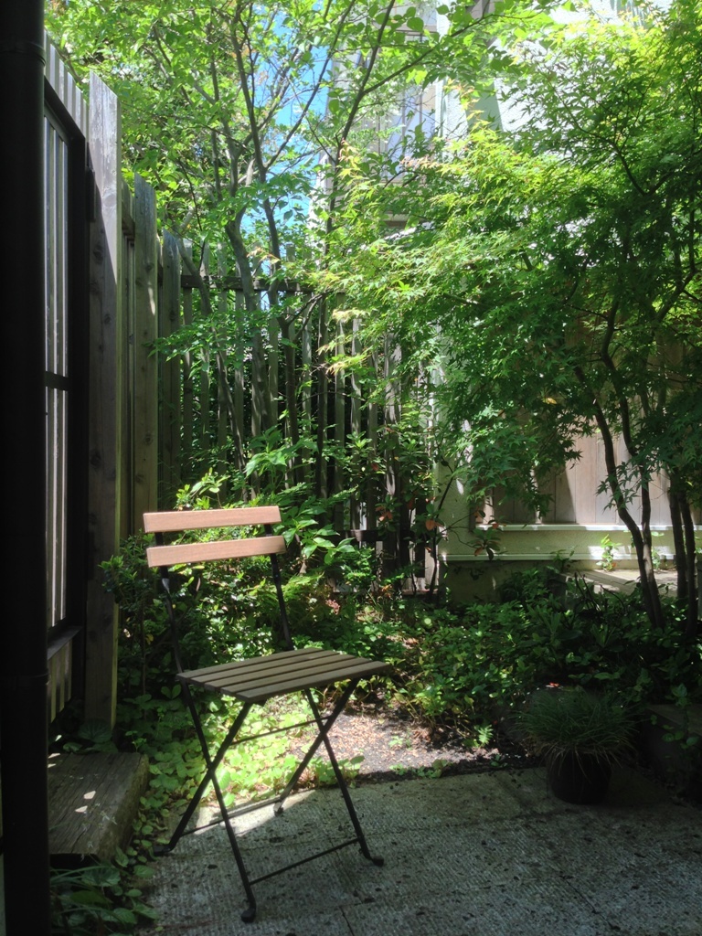 初夏の庭2016_c0310571_21342743.jpg