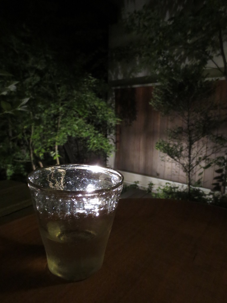 初夏の庭2016_c0310571_21342937.jpg