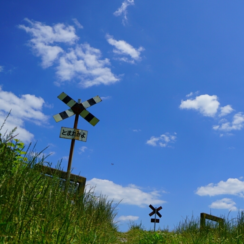 d0341483_20225811.jpg