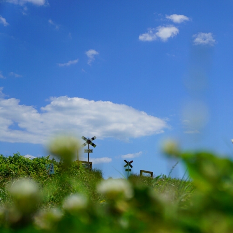 d0341483_20230080.jpg