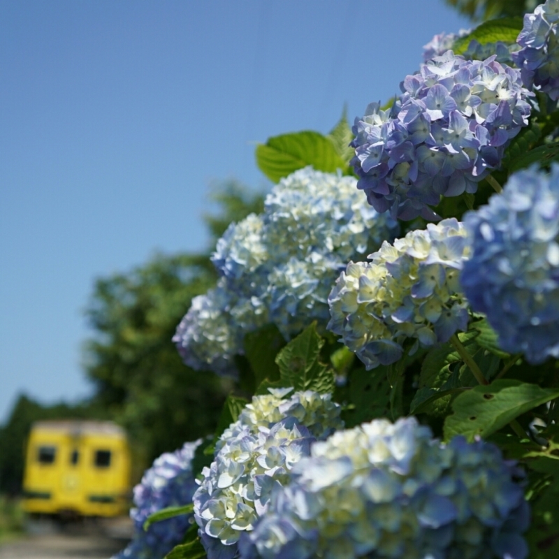 d0341483_20230570.jpg