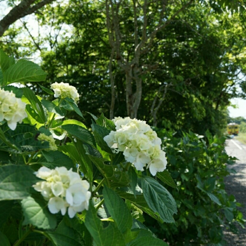 d0341483_20230922.jpg
