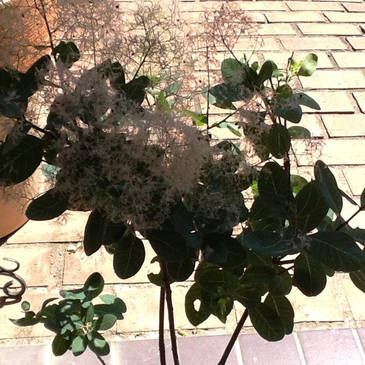 b0330288_14013646.jpeg