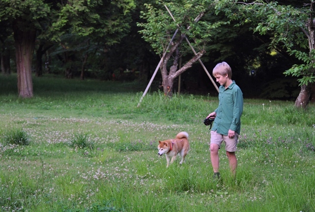 Welcome to Japan. ② 城址公園_a0126590_22121901.jpg
