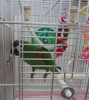 f0234590_1056384.png