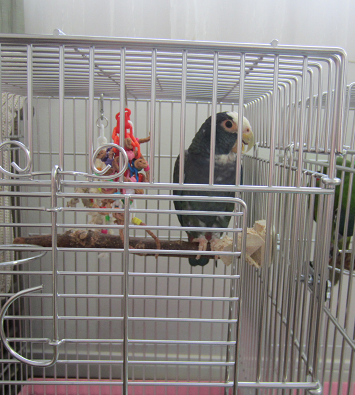 f0234590_1056932.png