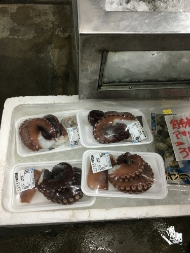 幸せの黄色いハンケチ風_d0087595_14562536.jpeg