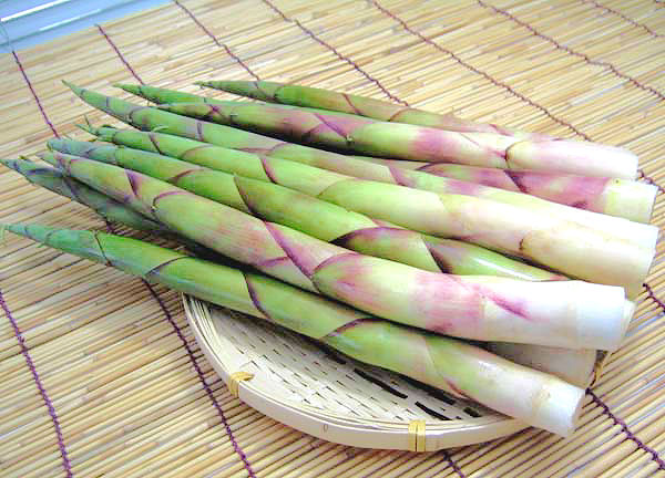 6月3日 金曜日は本店みんなでブログ ﾗﾝｸﾙ0ﾃﾞｨｰｾﾞﾙ ﾊﾏｰはtommyへ ランクル 大好き Tommyのニコニコブログ トミーブログ