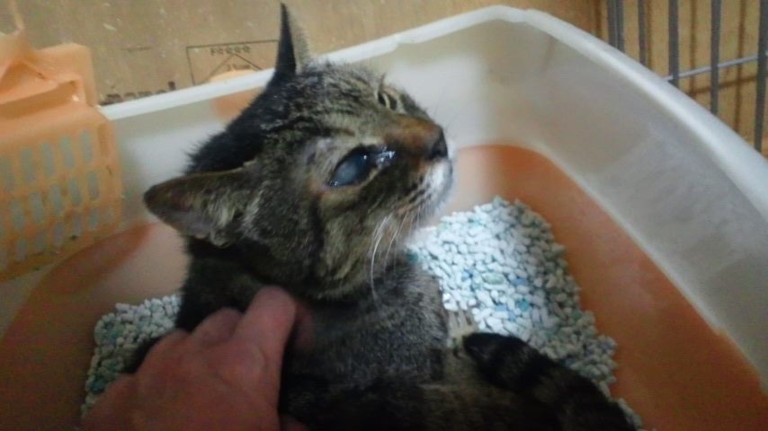 まつこばあちゃんの不思議な習慣_f0242002_1121686.jpg