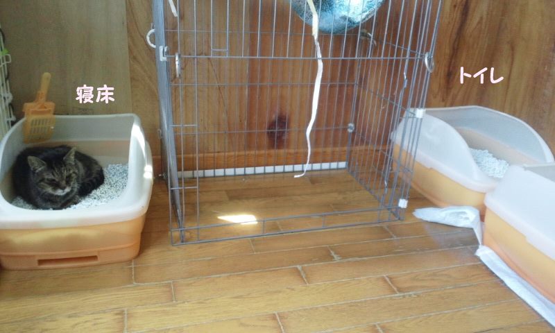 まつこばあちゃんの不思議な習慣_f0242002_183923.jpg
