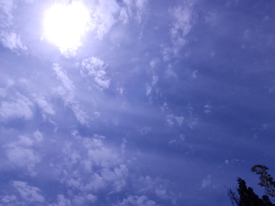 a0160407_207225.jpg