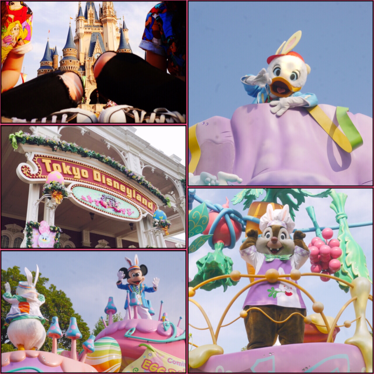 Disney&開港祭(*^^*)_c0294909_17403.jpg