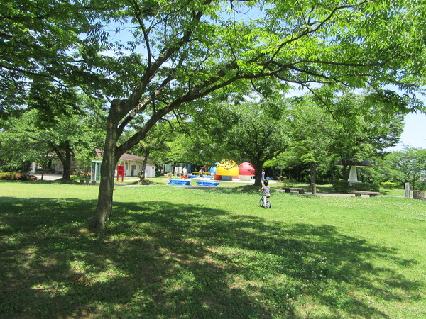 西条市の小松中央公園のちびっこ広場…2016/6/2_f0231709_1351475.jpg