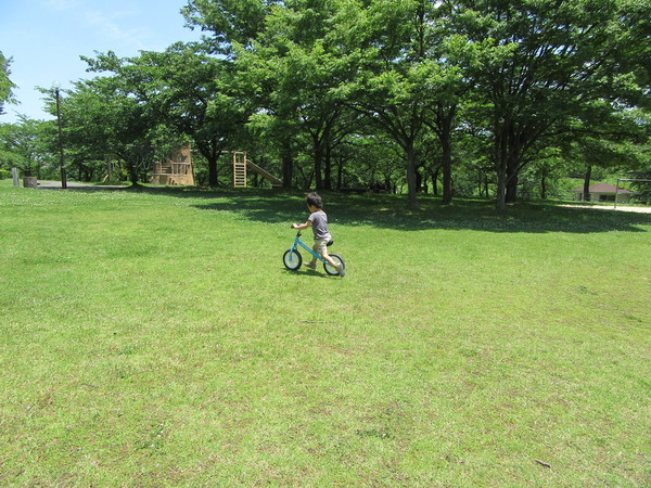 西条市の小松中央公園のちびっこ広場…2016/6/2_f0231709_13835100.jpg