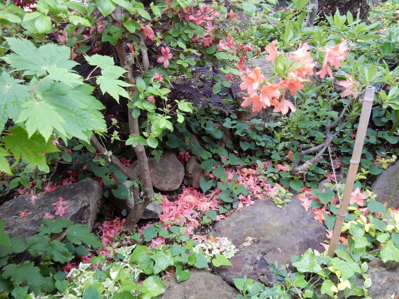 重版20刷出来_c0025115_21050948.jpg