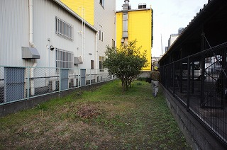f0190020_80362.jpg