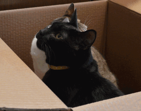 c0136736_1221156.gif
