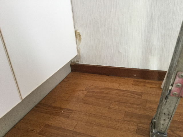 f0031037_19561396.jpg