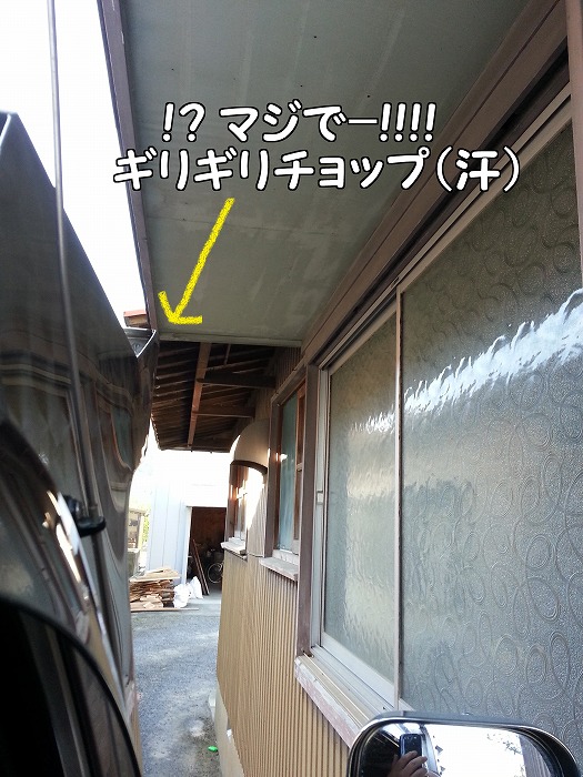 b0168041_1855598.jpg