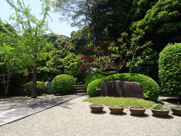 b0299042_13551335.jpg