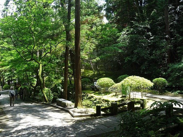 b0299042_13553161.jpg