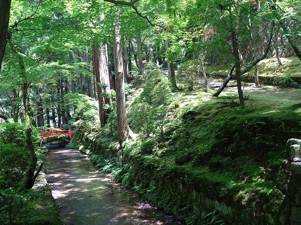 b0299042_13554410.jpg