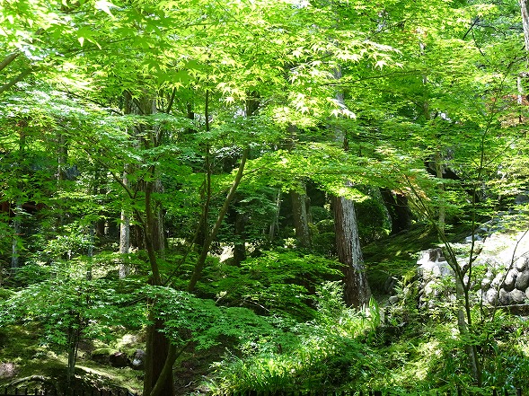 b0299042_13563623.jpg