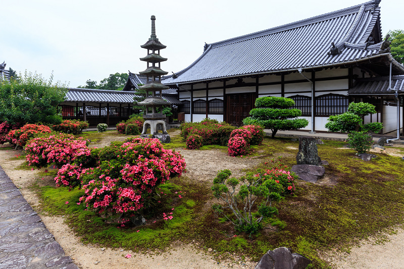 サツキ咲く興聖寺_f0155048_22292091.jpg