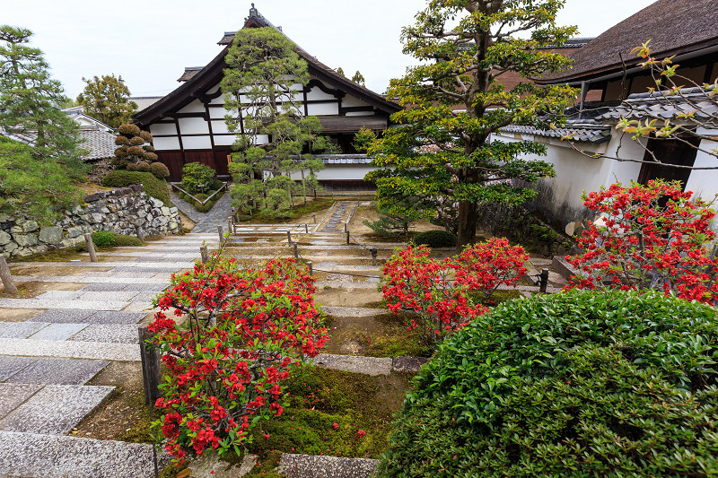 京の桜2016・春の花咲く一休寺と普賢寺観音寺（京田辺市）_f0155048_2302836.jpg