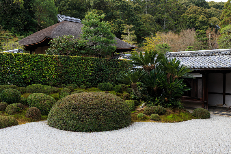 京の桜2016・春の花咲く一休寺と普賢寺観音寺（京田辺市）_f0155048_2324083.jpg