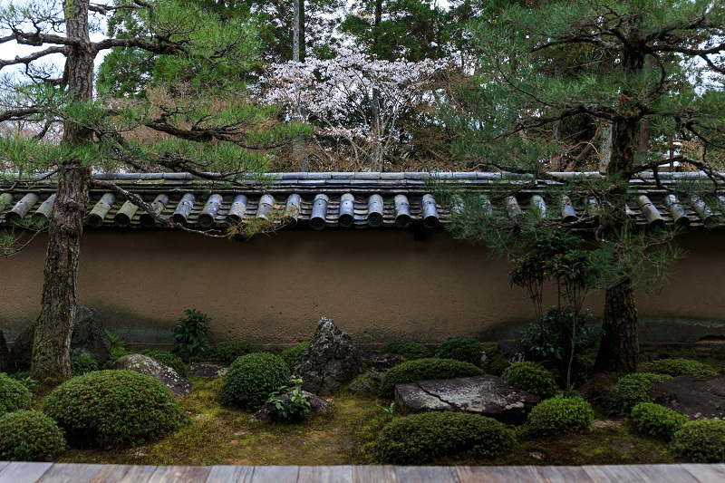 京の桜2016・春の花咲く一休寺と普賢寺観音寺（京田辺市）_f0155048_2335219.jpg