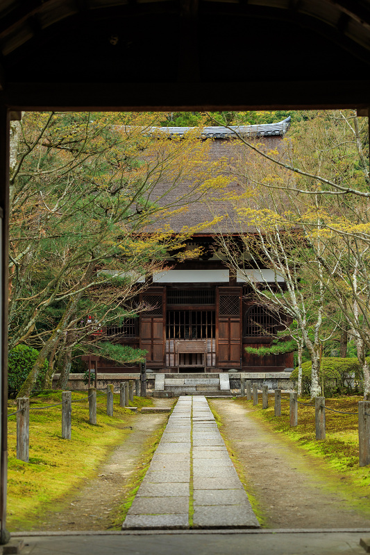 京の桜2016・春の花咲く一休寺と普賢寺観音寺（京田辺市）_f0155048_2344136.jpg