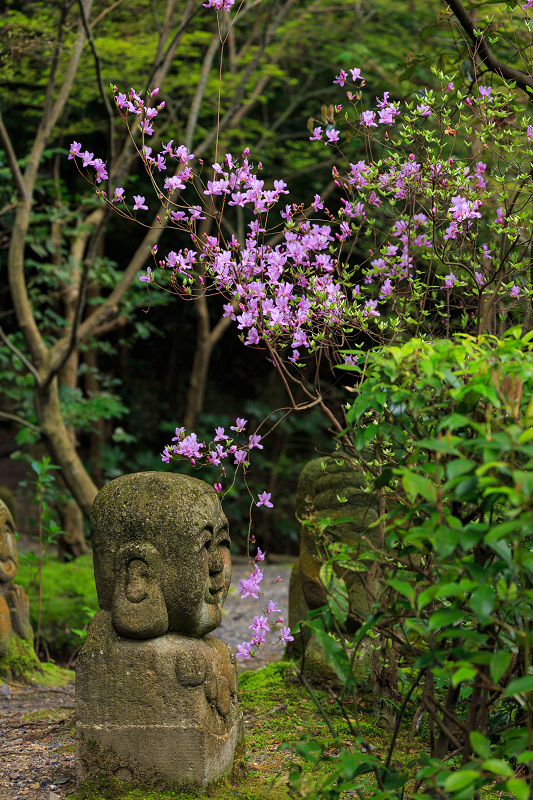 京の桜2016・春の花咲く一休寺と普賢寺観音寺（京田辺市）_f0155048_2373353.jpg