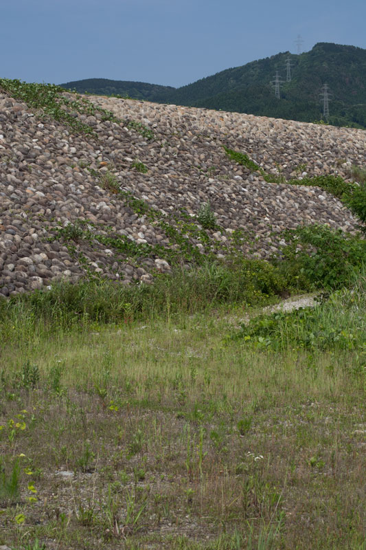 d0342652_11412878.jpg
