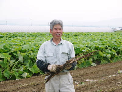 有機栽培の水田ごぼう 今まさに最旬食材!お手頃、お買い得な2kg箱入り新登場!_a0254656_1734395.jpg